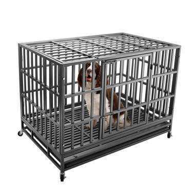 Empire best sale dog crate